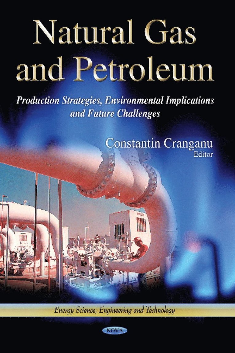 Constantin Cranganu - Natural Gas & Petroleum, Inbunden
