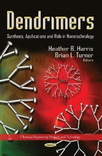 bokomslag Dendrimers