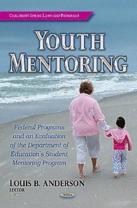 bokomslag Youth Mentoring