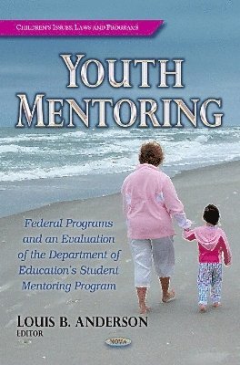 bokomslag Youth Mentoring
