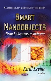 bokomslag Smart Nano-Objects