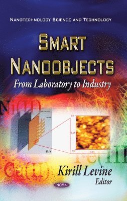 bokomslag Smart Nano-Objects