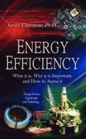 bokomslag Energy Efficiency