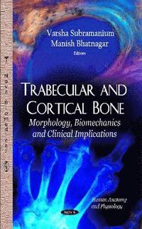 bokomslag Trabecular & Cortical Bone