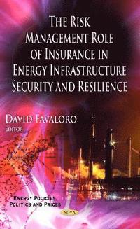 bokomslag Risk Management Role of Insurance in Energy Infrastructure Security & Resilience