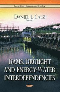 bokomslag Dams, Drought & Energy-Water Interdependencies