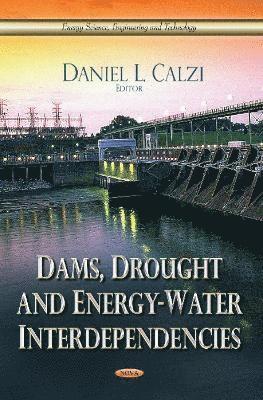 bokomslag Dams, Drought & Energy-Water Interdependencies