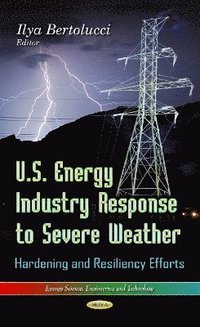 bokomslag U.S. Energy Industry Response to Severe Weather