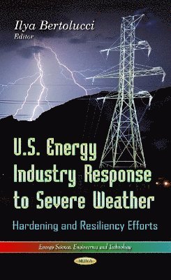 bokomslag U.S. Energy Industry Response to Severe Weather