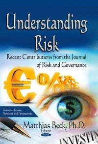 bokomslag Understanding Risk