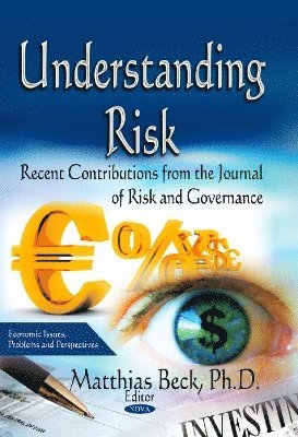 bokomslag Understanding Risk