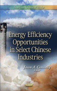 bokomslag Energy Efficiency Opportunities in Select Chinese Industries