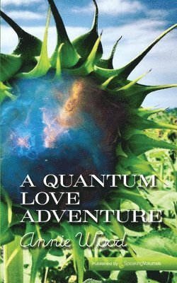 Annie Wood - A Quantum Love Adventure, Häftad