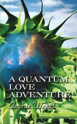 A Quantum Love Adventure 1