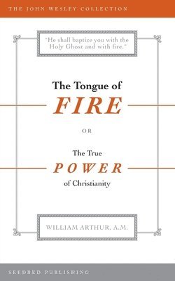 bokomslag Tongue of Fire