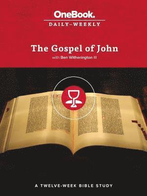 bokomslag The Gospel of John