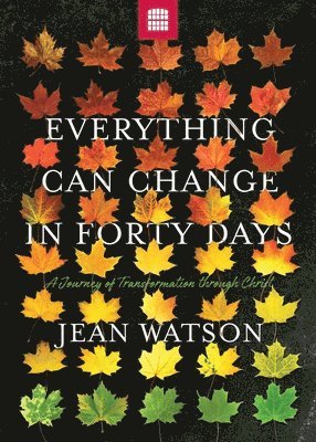 Jean Watson - Everything Can Change in Forty Days, Häftad