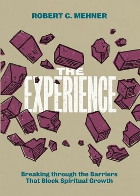 bokomslag Experience