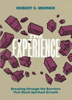 The Experience 1