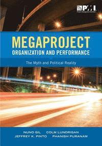 bokomslag Megaproject Organization and Performance