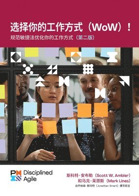 Scott Ambler, Mark Lines - Choose your WoW (Simplified Chinese Edition), Häftad