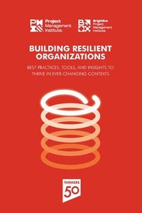 bokomslag Building Resilient Organizations