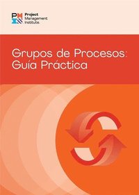 bokomslag Process Groups: A Practice Guide (SPANISH)