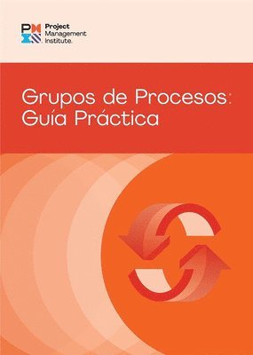 Process Groups: A Practice Guide (SPANISH) 1