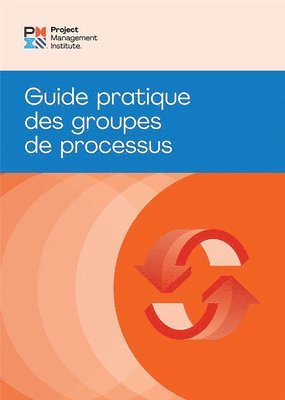 PMI, Pmi - Process Groups: A Practice Guide (FRENCH), Häftad