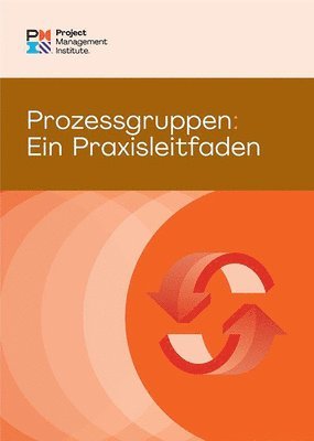 Project Management Institute PMI - Process Groups (German Edition), Häftad