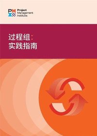 bokomslag Process Groups (Simplified Chinese Edition)