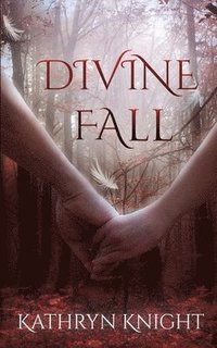 bokomslag Divine Fall