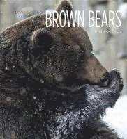 bokomslag Living Wild: Brown Bears