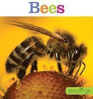 bokomslag Seedlings: Bees