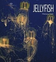 bokomslag Jellyfish