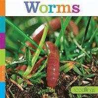 bokomslag Worms