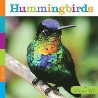 Hummingbirds 1