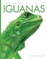 bokomslag Amazing Animals: Iguanas