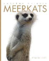 bokomslag Amazing Animals: Meerkats