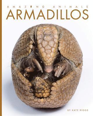 bokomslag Armadillos