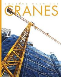 bokomslag Cranes