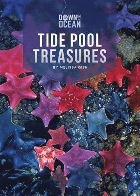 Tide Pool Treasures