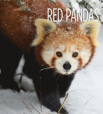 bokomslag Red Pandas