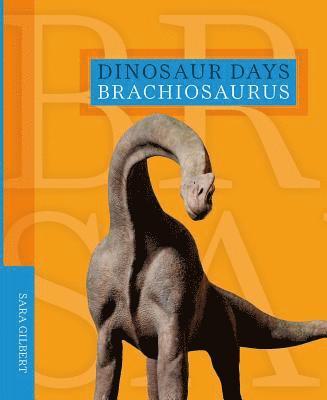 bokomslag Brachiosaurus