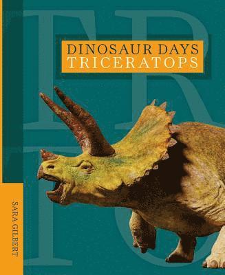 Dinosaur Days: Triceratops 1