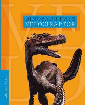 Dinosaur Days: Velociraptor 1