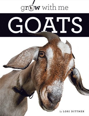 bokomslag Goats