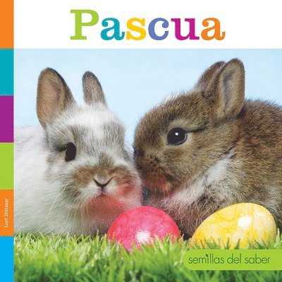 Pascua 1