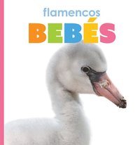 bokomslag Flamencos Bebés