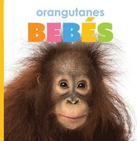bokomslag Orangutanes Bebés